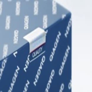 PolyFect Transfection Reagent (100 ml)