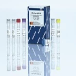 		REPLI-g Single Cell Kit (24)
