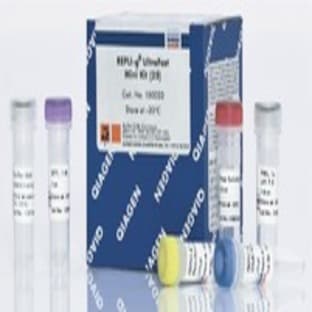 REPLI-g UltraFast Mini Kit (100)