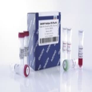QIAGEN Multiplex PCR Plus Kit (100) avatar