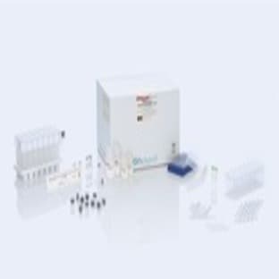 QIAsymphony PAXgene Blood RNA Kit (96)