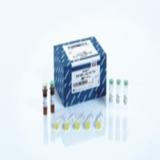 ipsogen BCR-ABL1 mbcr Kit (24) avatar
