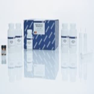 		Blood & Cell Culture DNA Maxi Kit (10)