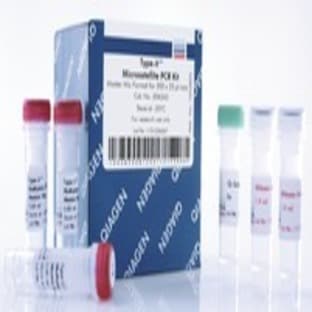 Type-it Microsatellite PCR Kit (200)