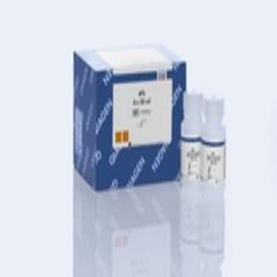 Buffer ATL (200 ml)