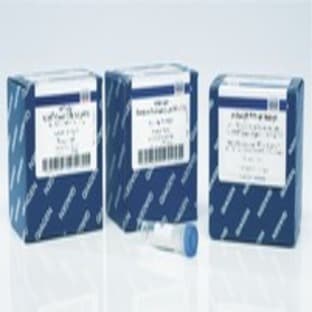 REPLI-g WTA Single Cell Kit (24)