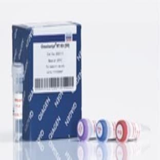 Omniscript RT Kit (50)