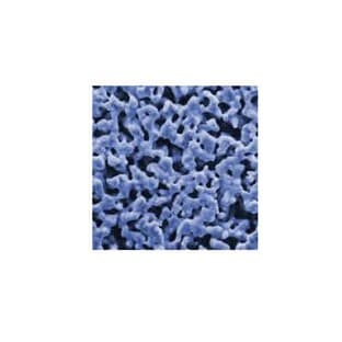Silver Membrane Filters