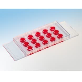 Вµ-Slide Angiogenesis