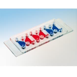 Вµ-Slide Chemotaxis 3D avatar