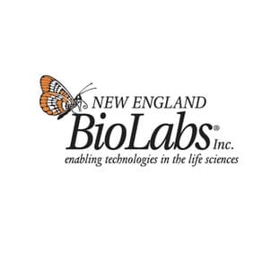 T7 High Yield RNA Synthesis Kit