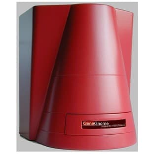 GeneGnome5 chemilumiinescence imaging system avatar