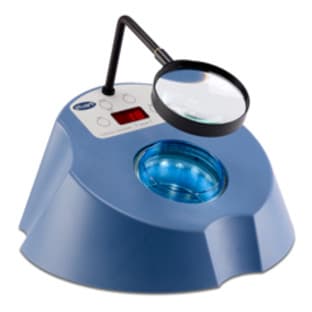Stuart Colony counter avatar